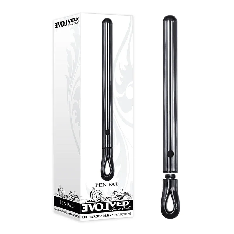 Evolved Pen Pal USB Metal Vibe Vibrator Anal Vaginal Butt Unisex Thin Sex Toy