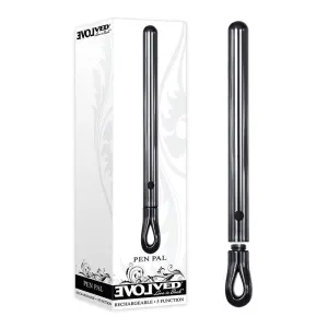 Evolved Pen Pal USB Metal Vibe Vibrator Anal Vaginal Butt Unisex Thin Sex Toy
