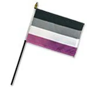 Flags Importer 4x 6 Asexual Stick Pride Flag