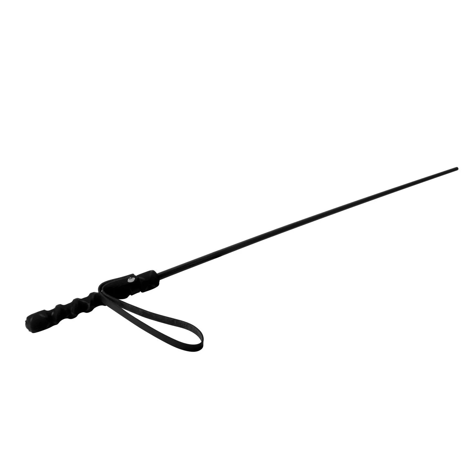 Isabella Sinclaire Intense Impact Cane