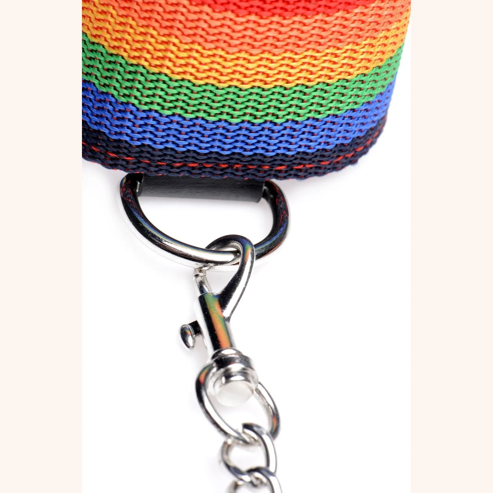 Kinky Pride Rainbow Bondage Set