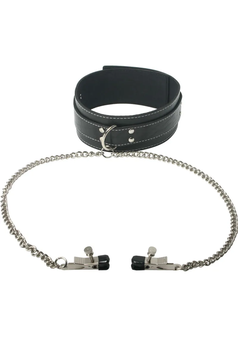 Ms Coveted Collar and Clamp Union