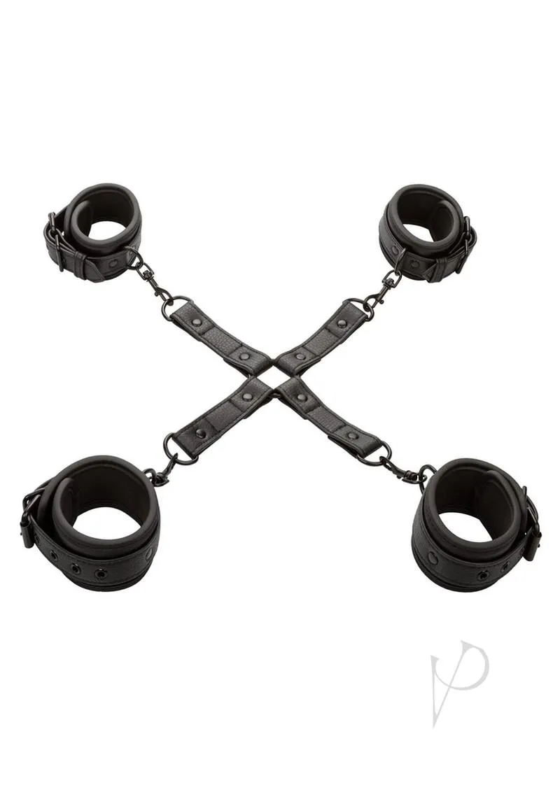 Nocturnal Coll Hog Tie