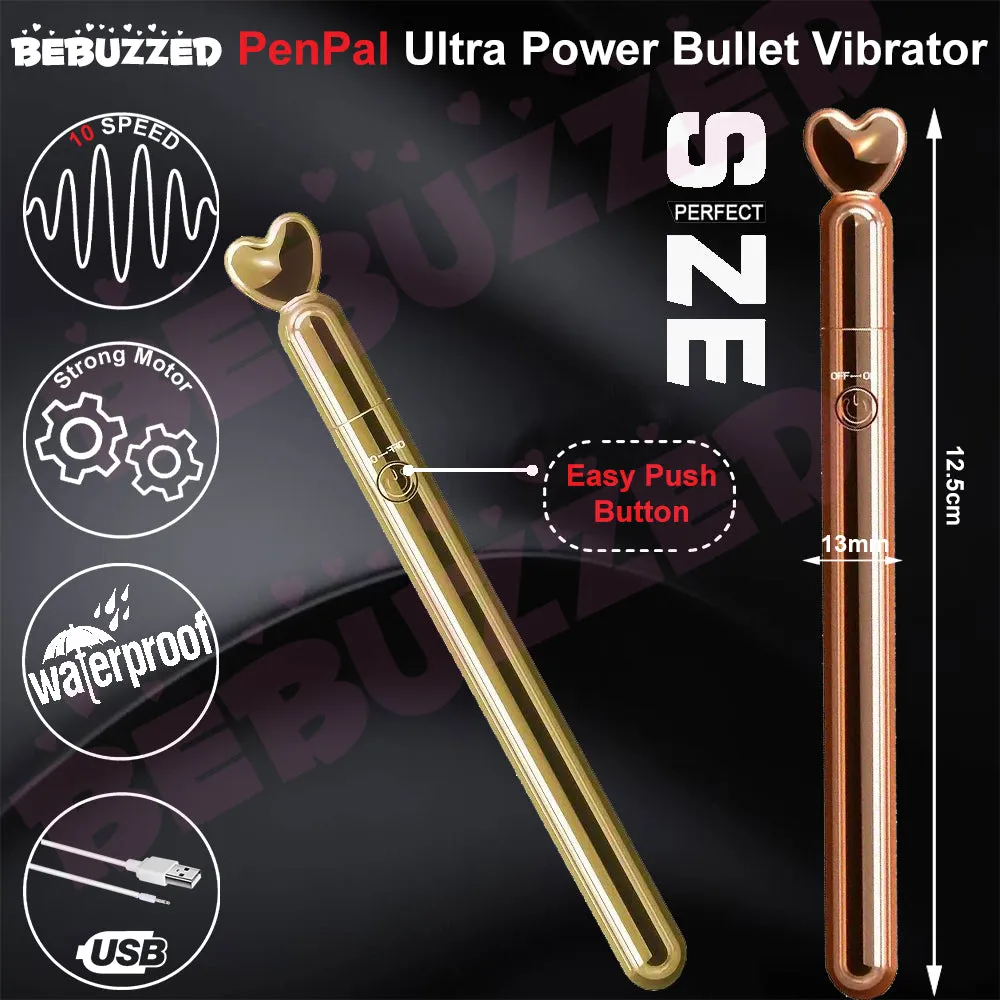 PenPal Bullet Vibrator POWERFUL Clitoral Stimulator G-Spot Anal Massager USB