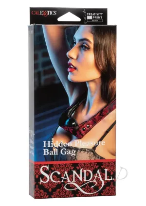 Scandal Hidden Pleasure Ball Gag