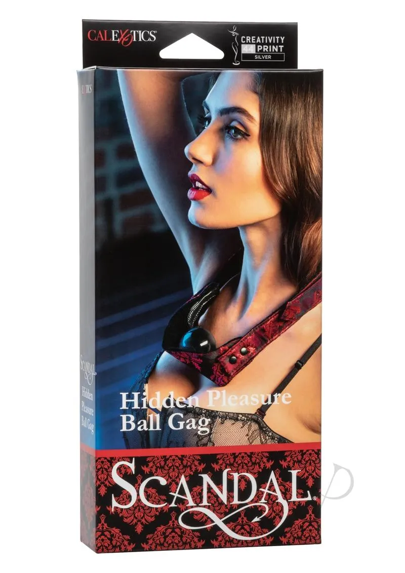 Scandal Hidden Pleasure Ball Gag
