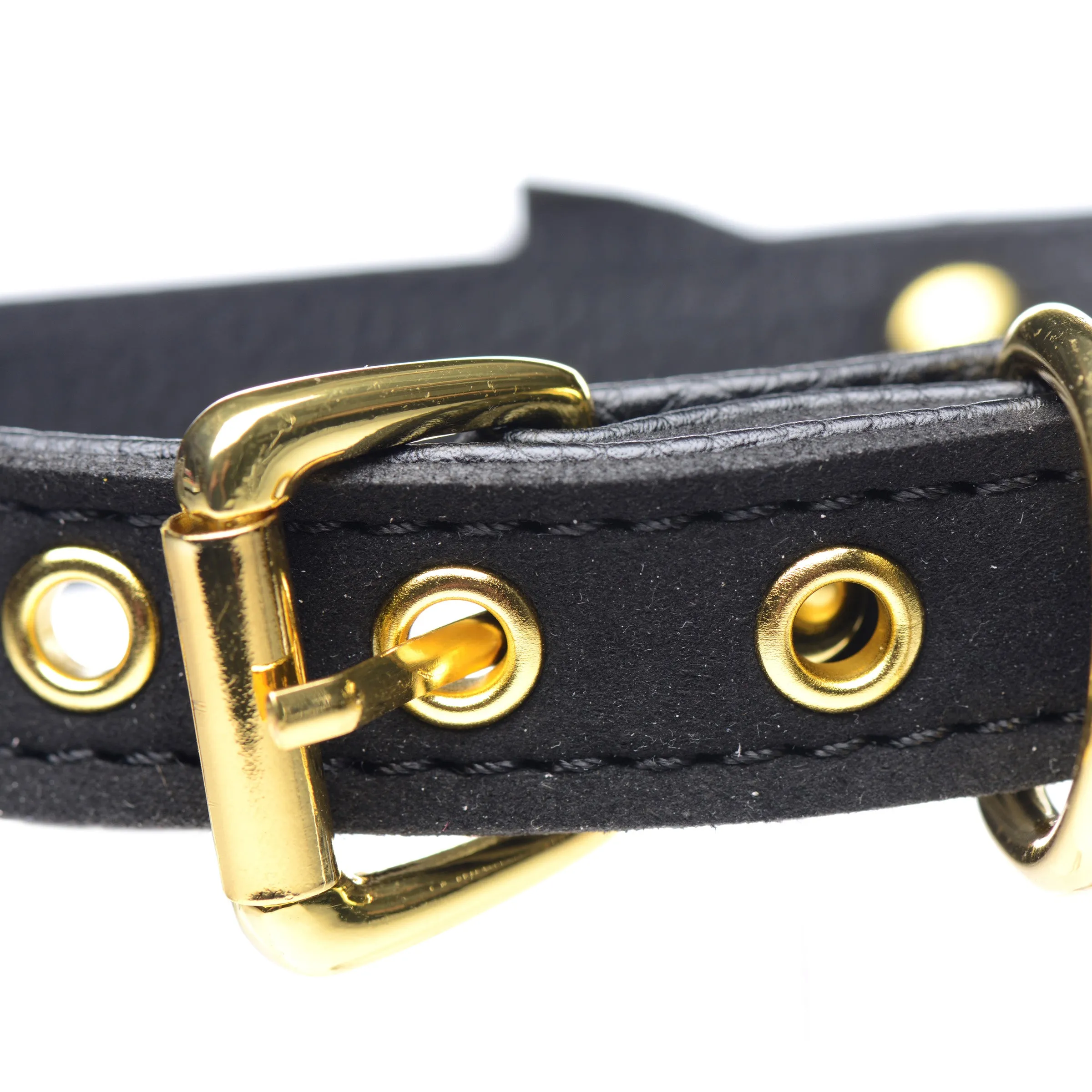 Submissive Kitty Collar